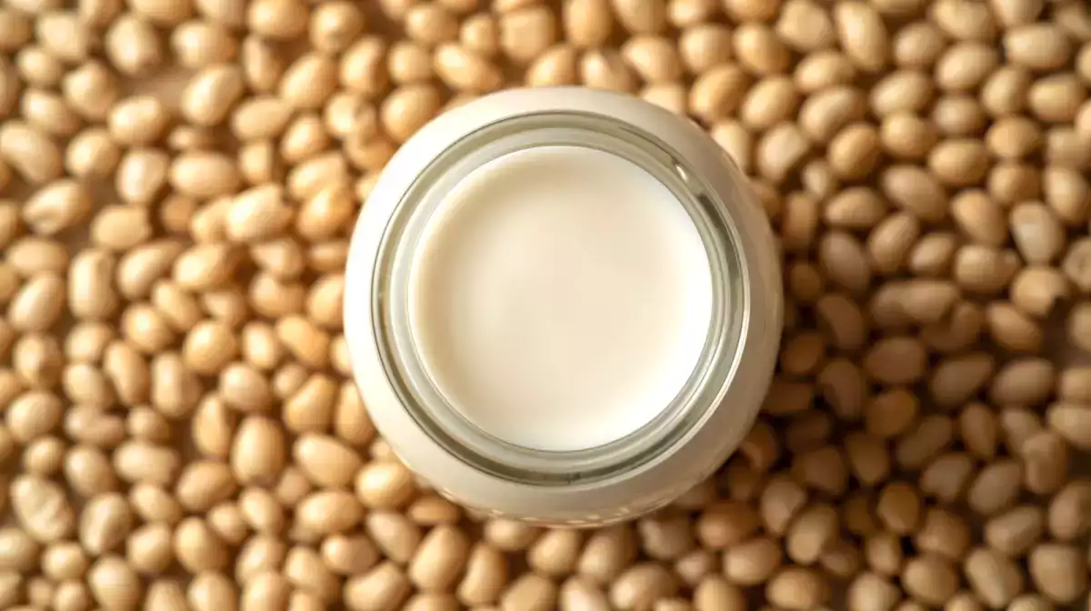 Какое растительное молоко самое полезное? Давайте узнаем!