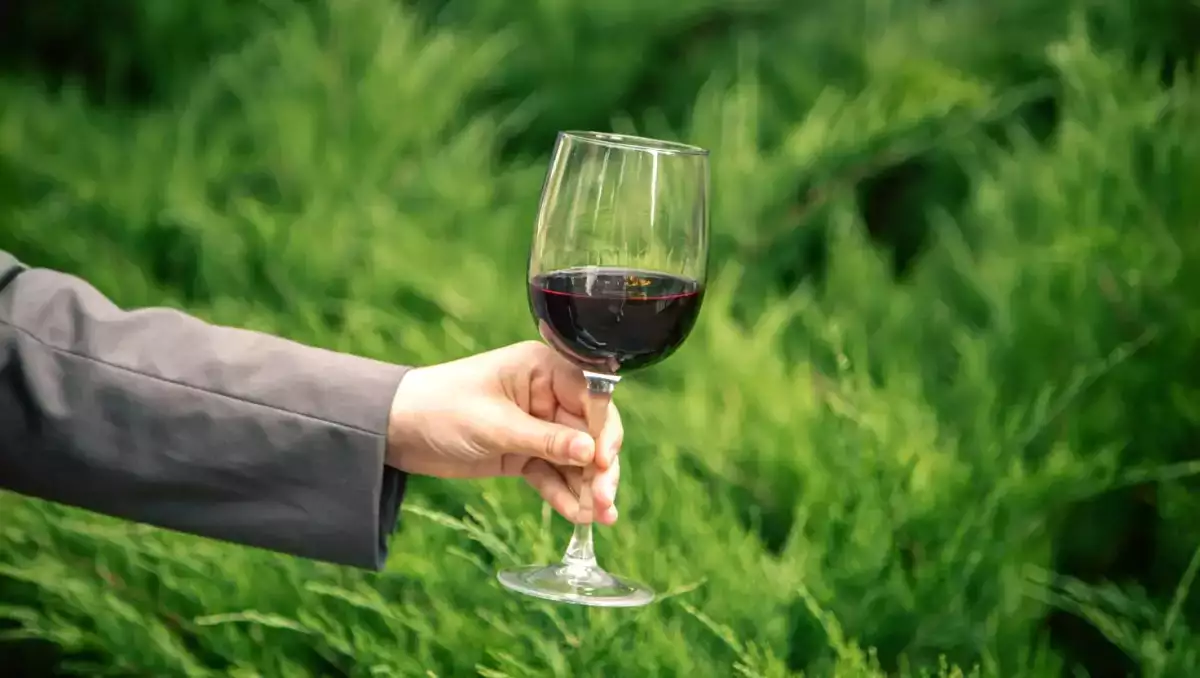 Веганское вино: что это такое, как его производят и почему оно завоевывает все больше и больше потребителей?