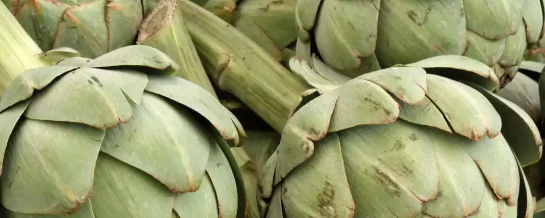 Как быстро и безопасно приготовить артишоки в микроволновой печи