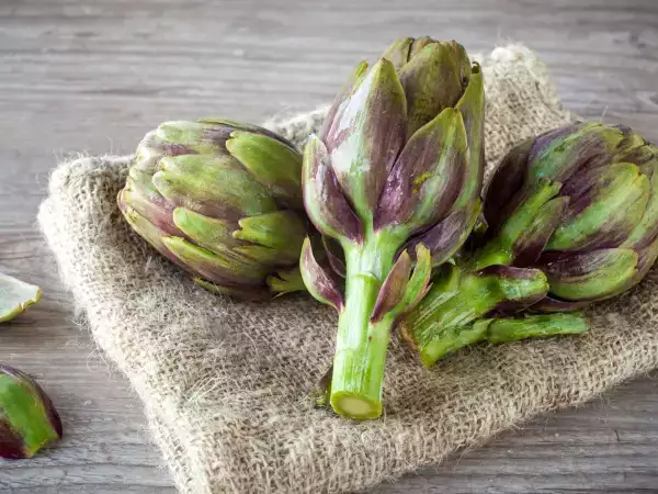 Как хранить артишоки дольше, чтобы они не почернели?