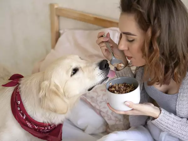 8 продуктов, которые точно не стоит давать собаке!