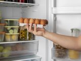 Папки: Сколько дней хранится вареное яйцо в холодильнике?