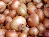 Папки: Антиотходы: вот почему не стоит выбрасывать луковую шелуху в мусорное ведро!