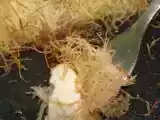 Рецепт Кюнефе