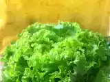 Рецепт Градините на Билла - къдрава зелена салата