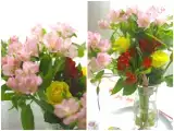 Рецепт Чечевичное трио