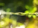 Рецепт Докосване от Станка Пенчева